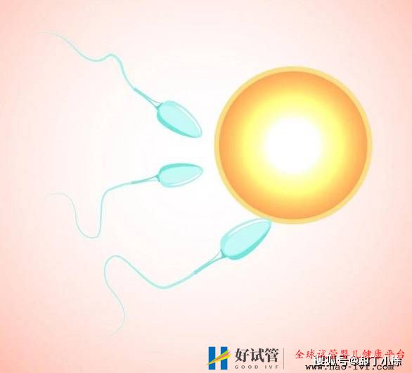 越年轻做试管婴儿成功率就越高吗?(图1) 越年轻做试管婴儿成功率就越高吗?(图1)