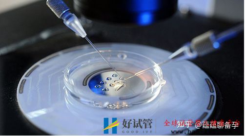 不明原因不孕让我折腾了一年,30岁终于通过试管怀上...(图5) 不明原因不孕让我折腾了一年,30岁终于通过试管怀上...(图5)