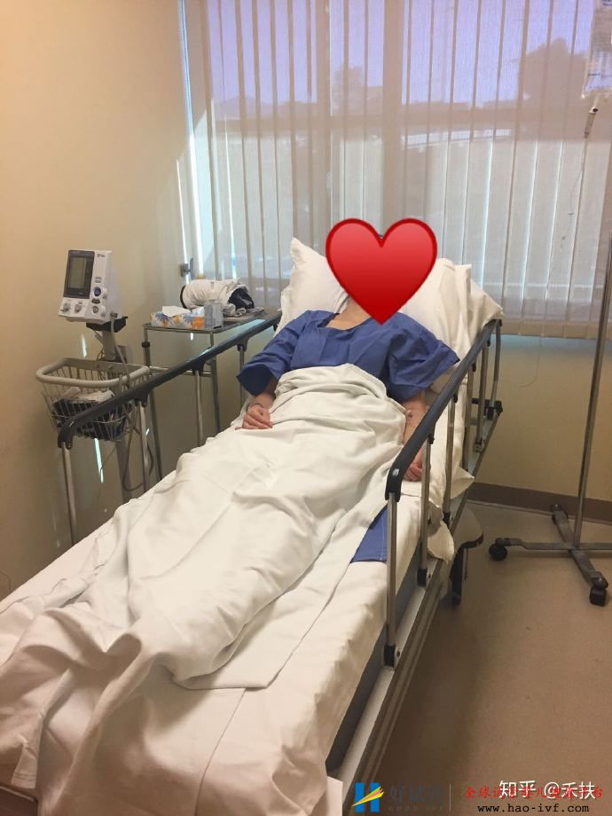 我的试管经历29岁卵巢早衰的逆袭之路(图4) 我的试管经历29岁卵巢早衰的逆袭之路(图4)