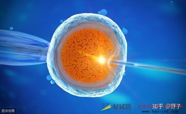 40岁再做试管婴儿,成功生子的几率大概有多少(图8) 40岁再做试管婴儿,成功生子的几率大概有多少(图8)