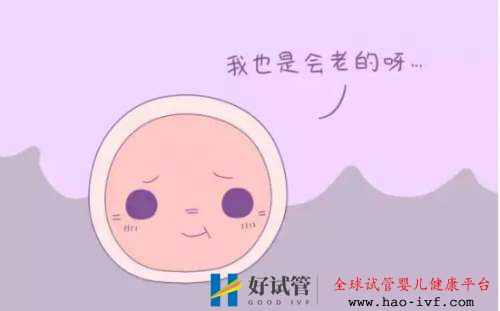 卵子比较少,做试管成功率怎么样呢(图2) 卵子比较少,做试管成功率怎么样呢(图2)
