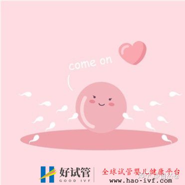 试管一代,二代,三代有什么区别(图3) 试管一代,二代,三代有什么区别(图3)