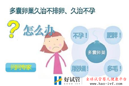 多囊卵巢综合症可以试管吗(图2) 多囊卵巢综合症可以试管吗(图2)