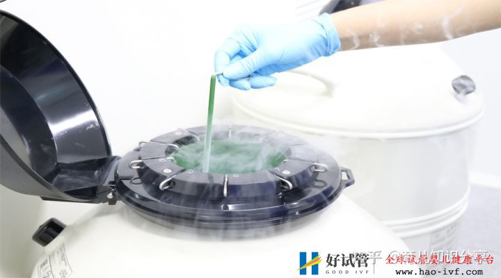 试管生一对龙凤宝宝大概要多少钱(图2) 试管生一对龙凤宝宝大概要多少钱(图2)