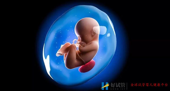 试管婴儿成功率竟然不是100%,谁偷走了我的成功率(图6) 试管婴儿成功率竟然不是100%,谁偷走了我的成功率(图6)