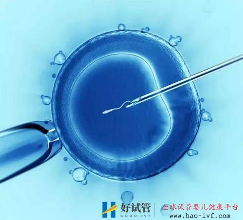 人工授精成功率(图7) 人工授精成功率(图7)