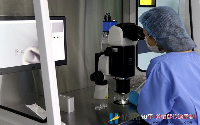 三代试管婴儿费用明细清单!(图4) 三代试管婴儿费用明细清单!(图4)