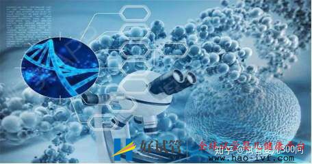 卵巢早衰的我终于试管成功怀孕了!!!!(图5) 卵巢早衰的我终于试管成功怀孕了!!!!(图5)