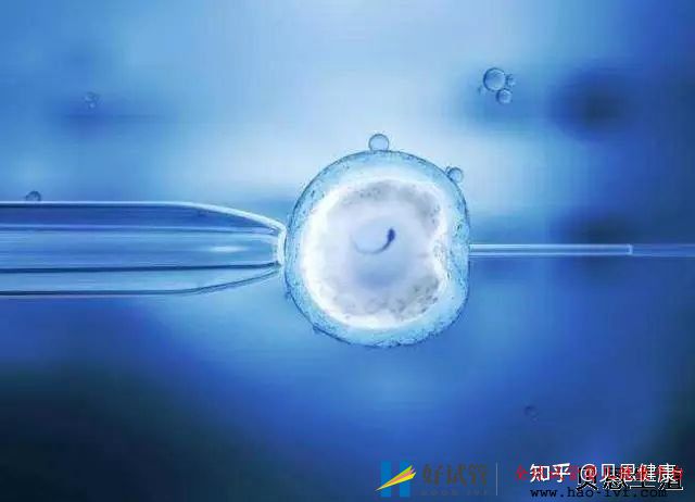 男性弱精症做试管婴儿成功率高吗答案是因人而异(图1) 男性弱精症做试管婴儿成功率高吗答案是因人而异(图1)