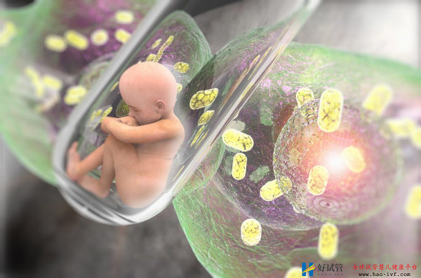 三代试管婴儿成功率是多少(图2) 三代试管婴儿成功率是多少(图2)