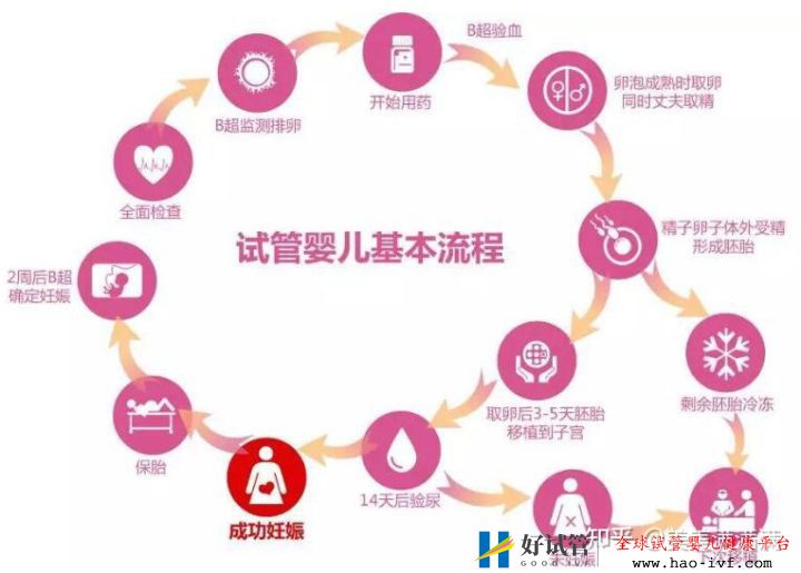 国内第三代试管婴儿全部详细流程!(图2) 国内第三代试管婴儿全部详细流程!(图2)