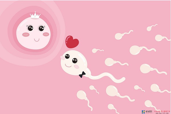 影响试管婴儿的费用的因素有哪些?(图2) 影响试管婴儿的费用的因素有哪些?(图2)