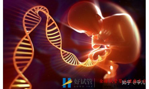 第二期试管婴儿的费用是多少做试管婴儿前你需...(图3) 第二期试管婴儿的费用是多少做试管婴儿前你需...(图3)