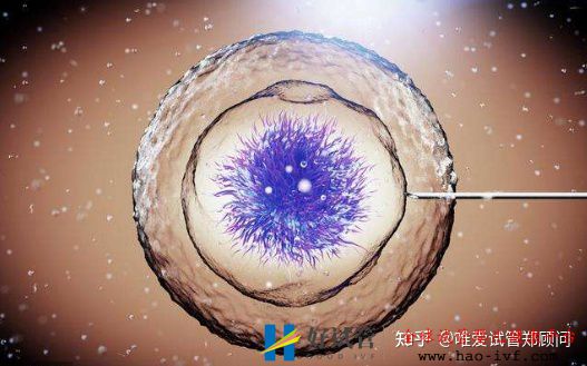 国内哪些医院可以做试管婴儿哪家医院技术更好(图1) 国内哪些医院可以做试管婴儿哪家医院技术更好(图1)