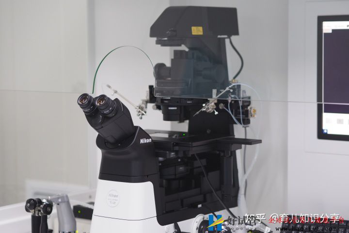 试管婴儿收费价目表是什么样的(图3) 试管婴儿收费价目表是什么样的(图3)