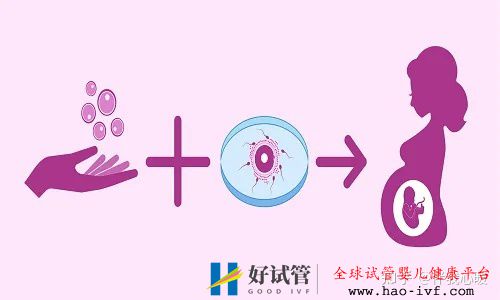 试管婴儿需要花多少时间试管全流程大公开建议收藏!(图2) 试管婴儿需要花多少时间试管全流程大公开建议收藏!(图2)