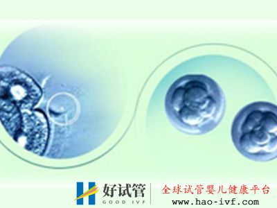 有乙肝的人可以做试管婴儿吗注意哪些(图2) 有乙肝的人可以做试管婴儿吗注意哪些(图2)