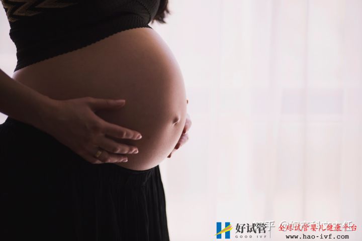 试管婴儿到底合不合法4年试管经历,给想做试管的(图3) 试管婴儿到底合不合法4年试管经历,给想做试管的(图3)