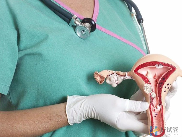 揭晓试管促排导致卵巢早衰真实原因,促排药不是罪魁祸首(图2) 促排卵不会造成卵巢早衰