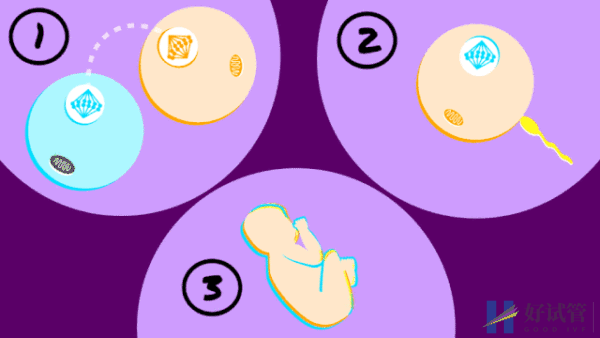 多囊想做试管这几个问题看完心里有谱了!(图7) 多囊想做试管这几个问题看完心里有谱了!(图7)