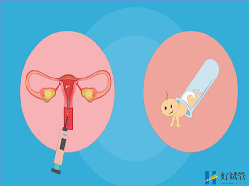 自然周期囊胚移植必看!简单三点教你提高试管成功率(图1) 自然周期囊胚移植