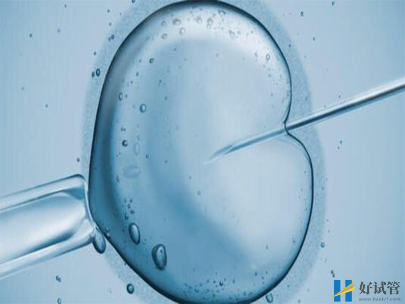 自然周期囊胚移植必看!简单三点教你提高试管成功率(图2) 自然周期囊胚移植的成功率分析