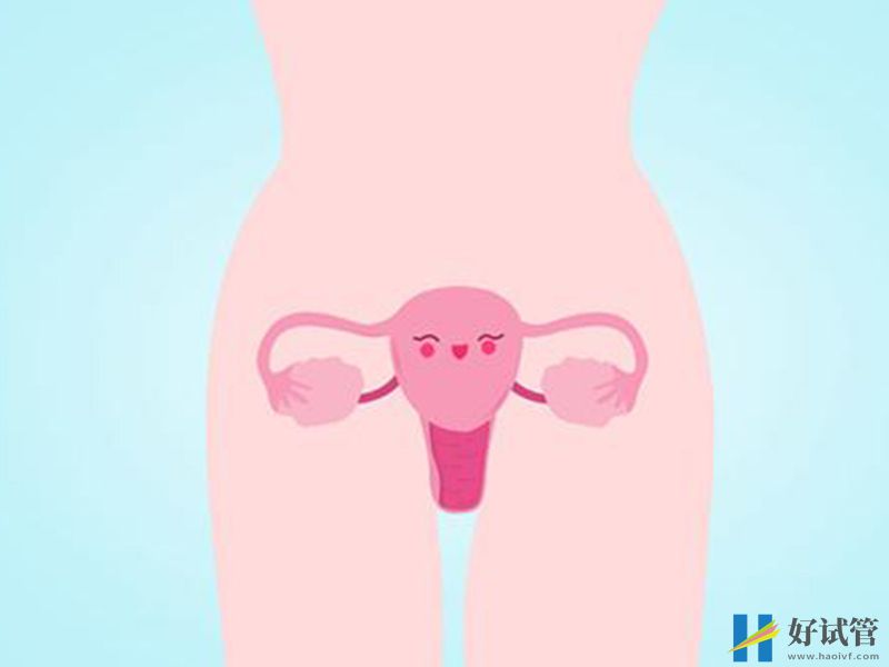 身体出现这3大症状,要警惕是幼稚子宫(图1) 幼稚子宫的原因分先天和后天两种