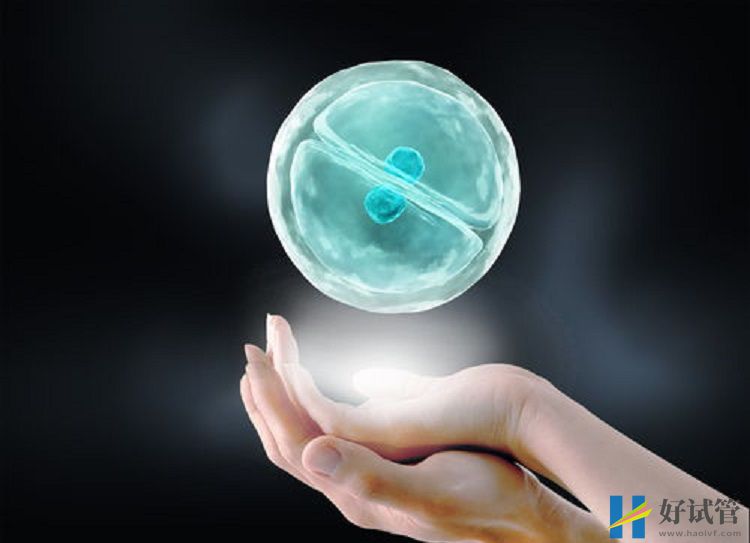 子宫切除后没有月经排卵怎么办,要孩子正确方法看这里(图2) 无子宫需第三方助孕