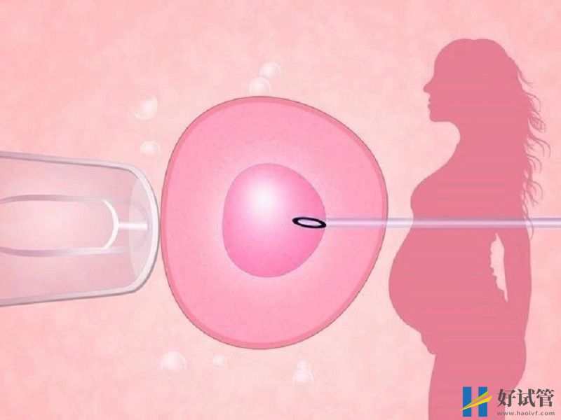 美国试管助孕费用不菲!在美日常消费也不便宜(图2) 第三方助孕