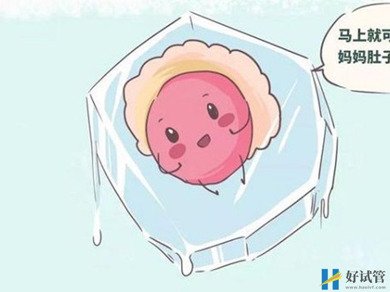 有人知道冷冻胚胎大概需要多少钱吗?(图1) 提前复苏至少3个胚胎