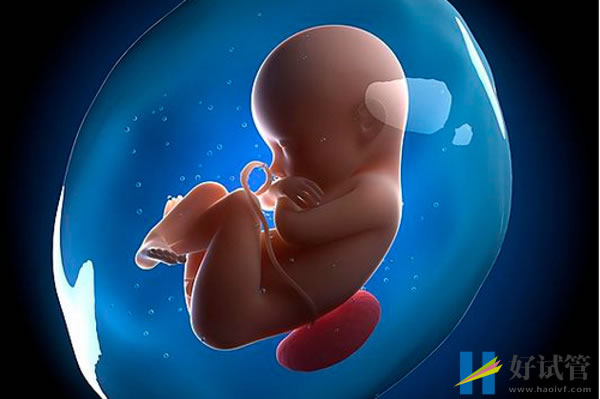 河南省生殖妇产医院试管婴儿价目表,总费用明细参考(图3) 试管费用因人而异