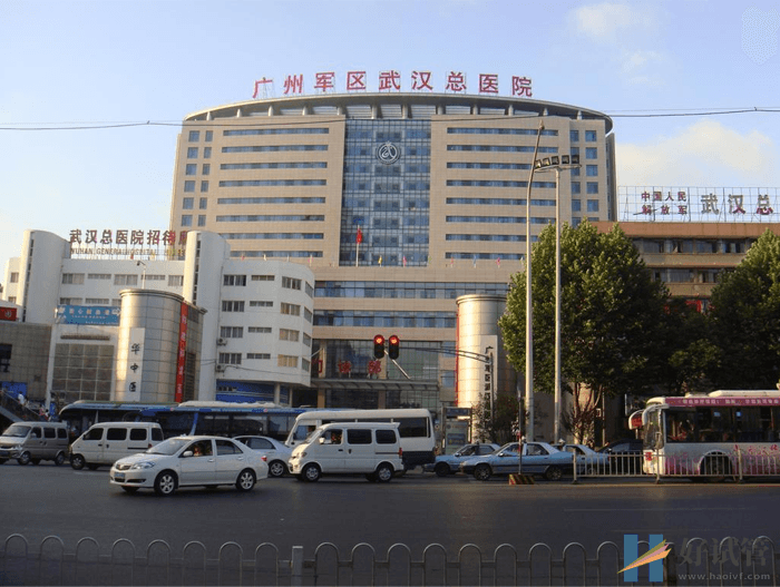 中部战区总医院试管婴儿费用表,总花费明细参考(图1) 中国人民解放军中部战区总医院