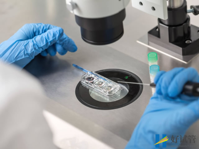 南阳人工授精医院排名公布,最好供精机构推荐(图1) 南阳有两家医院能开展人工授精