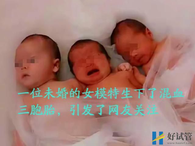山东一未婚女子从事模特,做试管产下三个混血宝宝,称从不后悔(图1) 山东一未婚女子从事模特,做试管产下三个混血宝宝,称从不后悔(图1)