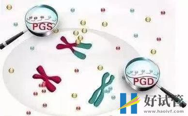 遭遇二代试管选性别骗局,诉讼被驳回,求助无果(图3) 遭遇二代试管选性别骗局,诉讼被驳回,求助无果(图3)