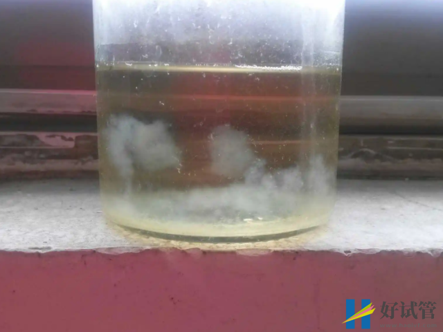 孕妇尿液加醋测男女步骤分享,找准诀窍才不易翻盘(图3) 尿里加醋测男女不准