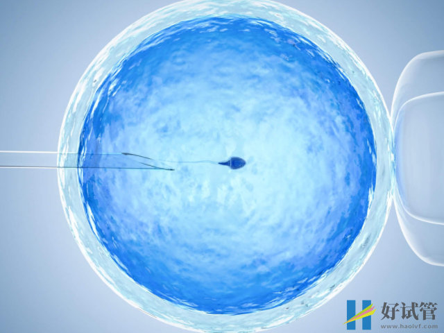 昆明正规医院供卵试管费用明细,一般家庭也承担得起(图1) 昆明有11家试管婴儿医院