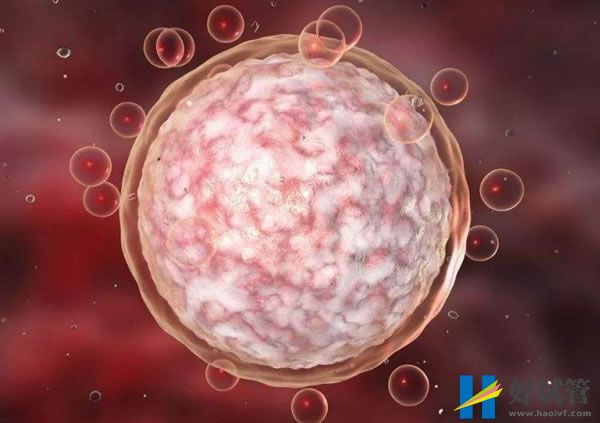 云浮第三代试管婴儿要男孩花费多少钱(图1) 28d26b6c82b8ce77f6402d93bba58eb5_36.jpg