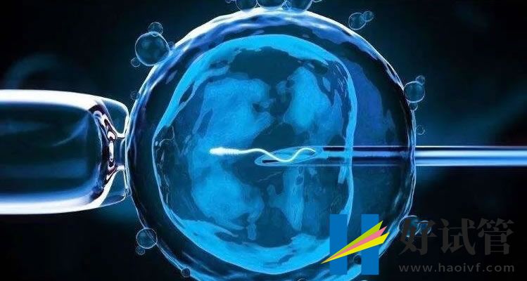 男性补精子食物盘点,牡蛎、羊肉、牛骨髓都可以多吃(图2) sg (39).jpg