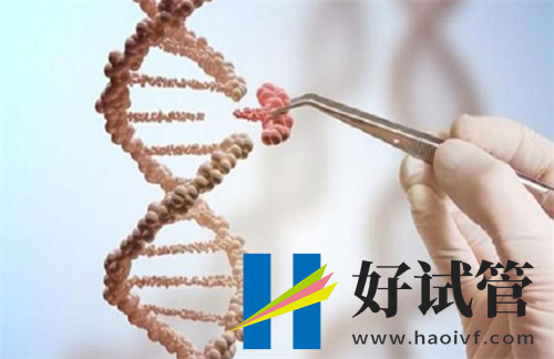 2024年西安最好试管助孕医院(图2) undefined