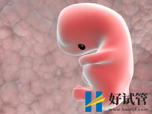 2024福建做试管最好的医院吗(图2) undefined