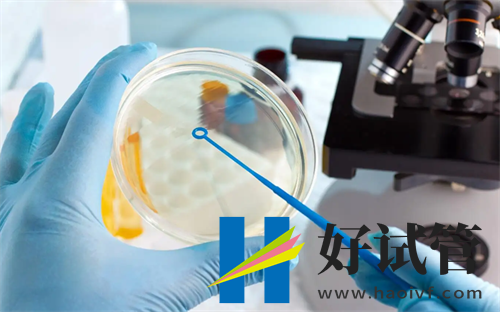 2024年辽宁试管助孕医院TOP10(图2) undefined