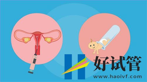 江苏2024试管医院top10名单(图1) undefined