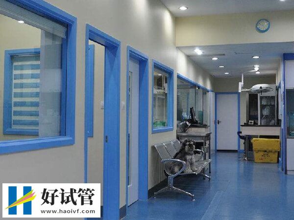 厦门正规试管婴儿医院如何选?3个因素决定助孕率(图2) 厦门试管婴儿如何选择医院