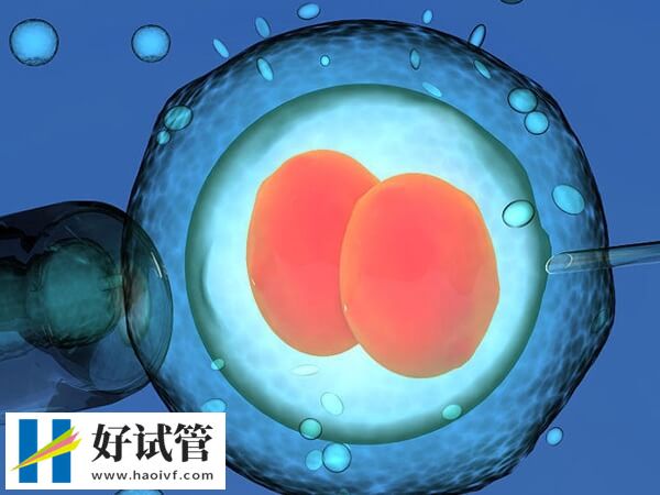 俩女生怎么做试管婴儿?身体评估到移植只需六步(图1) 女同做试管婴儿操作流程