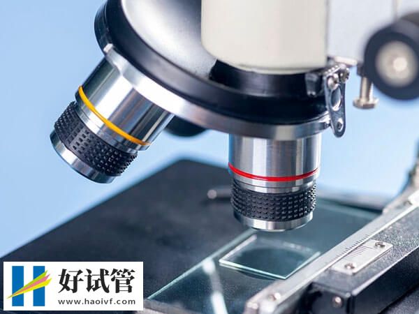 俩女生怎么做试管婴儿?身体评估到移植只需六步(图2) 女同做试管婴儿一般分为几步