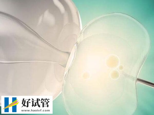 俩女生怎么做试管婴儿?身体评估到移植只需六步(图3) 女同试管婴儿需要做那些工作