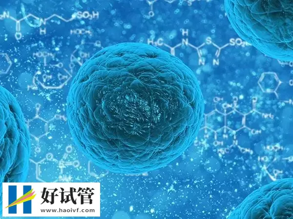 铜仁卵巢早衰试管婴儿移植成功后怎么保胎(图1) 移植成功后要注意按时产检