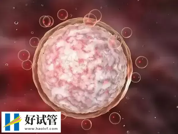 黔西南试管婴儿是否需要监测卵泡(图1) 基础卵泡少会影响试管成功率