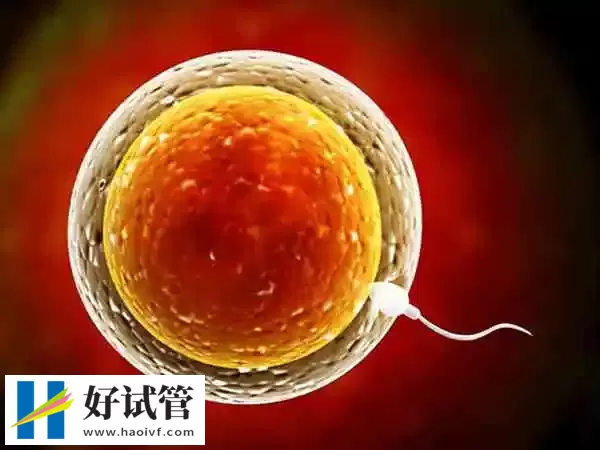 巴中试管婴儿促排卵为什么有空囊(图1) 试管空囊出现的概率是比较低的